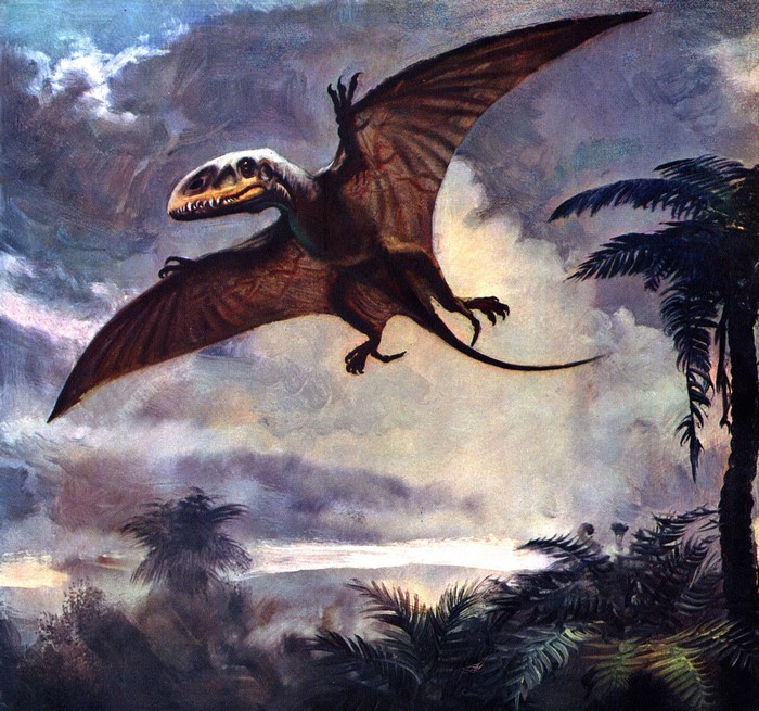 Dimorphodon flying over prehistoric landscape