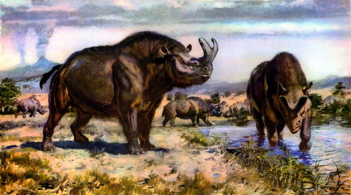 Brontotherium ancient animals