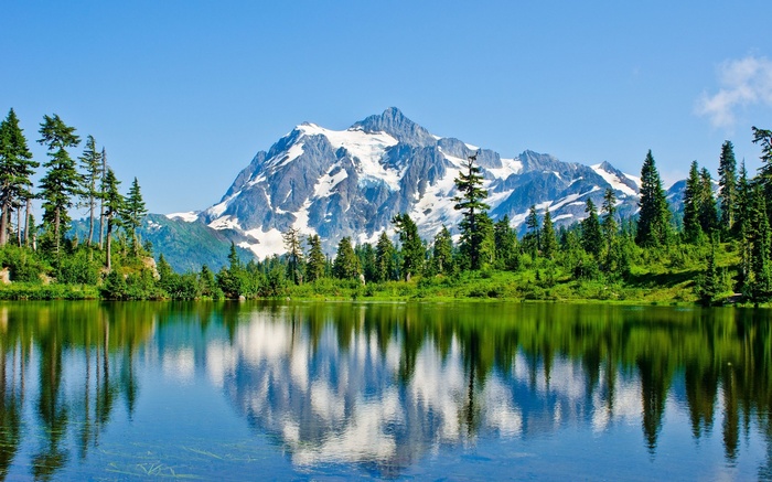 Snow-capped mountain reflected in a lake with pine trees
