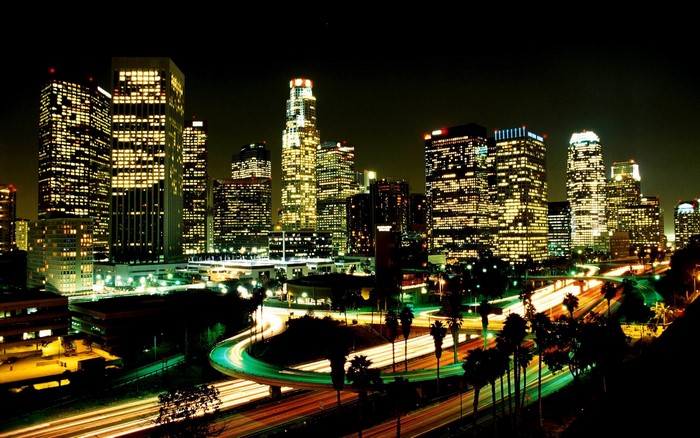 Los Angeles skyline at night with light trails