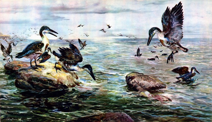 Ichthyornis birds on a rocky shore and in the water
