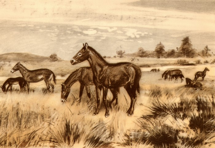Mesohippus grazing in a prehistoric landscape