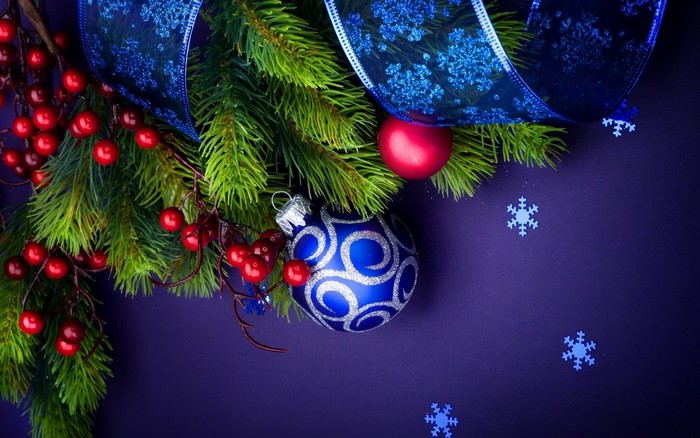 Christmas Decorations with Pine Branches and Berries