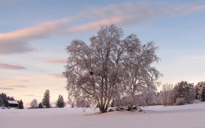 Winter landscape with snow-covered trees and a barn