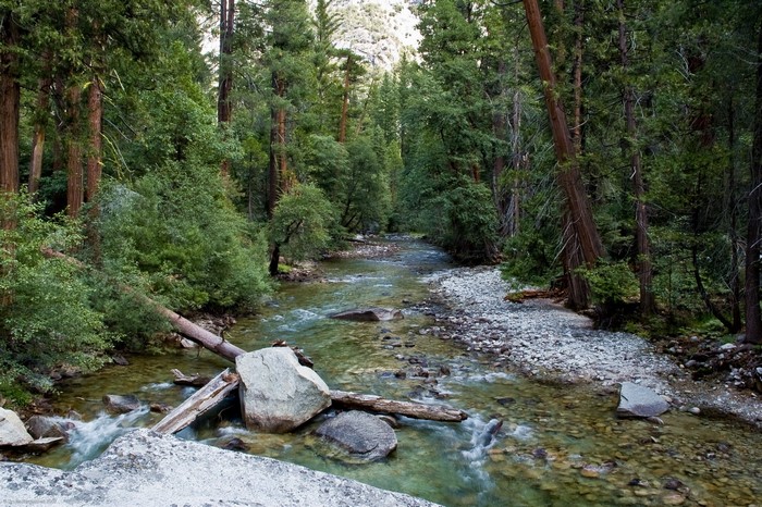 Kings Canyon National Park, California, USA