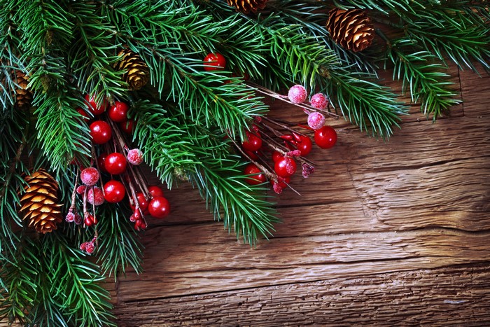 Christmas fir branches with pine cones and red berries on wood