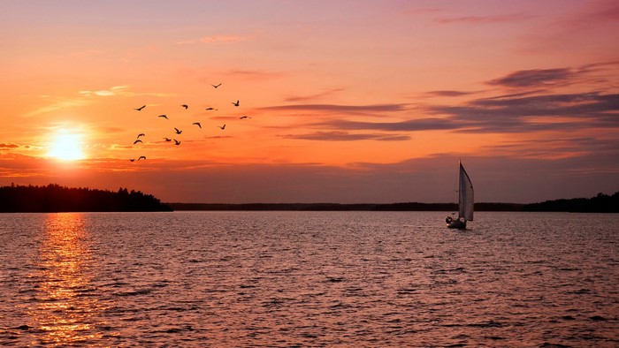 Sailboat and birds at sunset over a lake