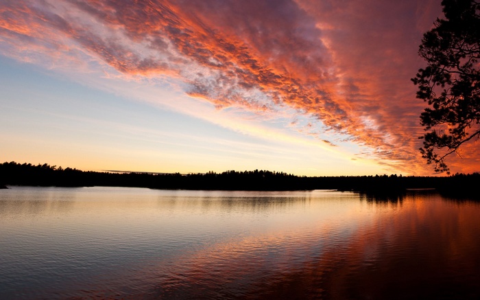 Sunset over a lake with colorful clouds and silhouetted trees