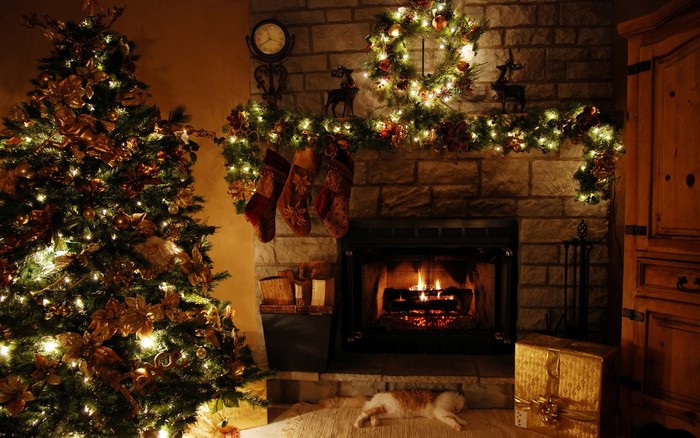 Christmas tree and fireplace with cat