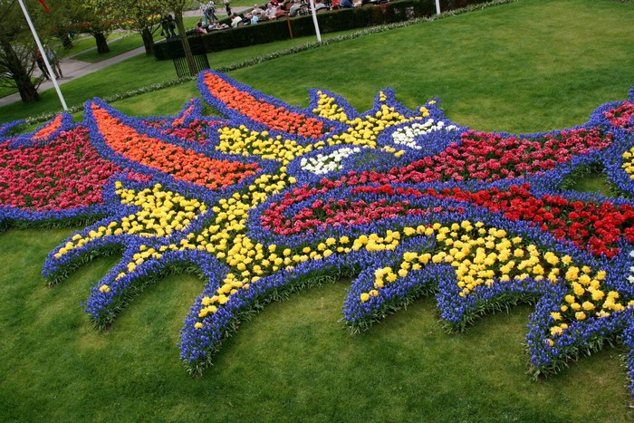 Dragon flower bed made of tulips and hyacinths