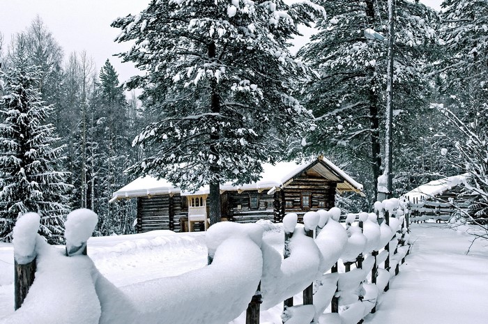 Winter scene with log cabins and snow-covered trees