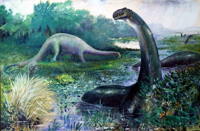 Brontosaurus dinosaurs in a prehistoric swamp