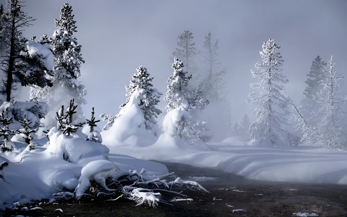 Snowy forest with steam rising from a river