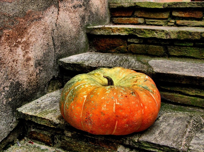 Pumpkin on stone steps