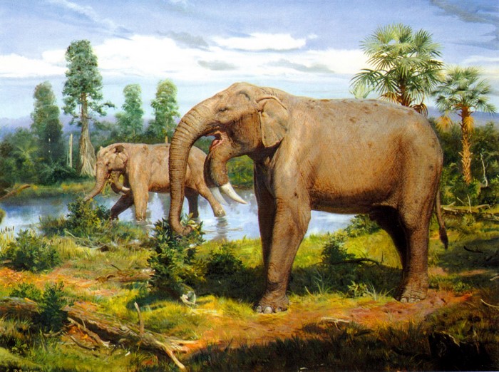 Deinotherium in a prehistoric landscape