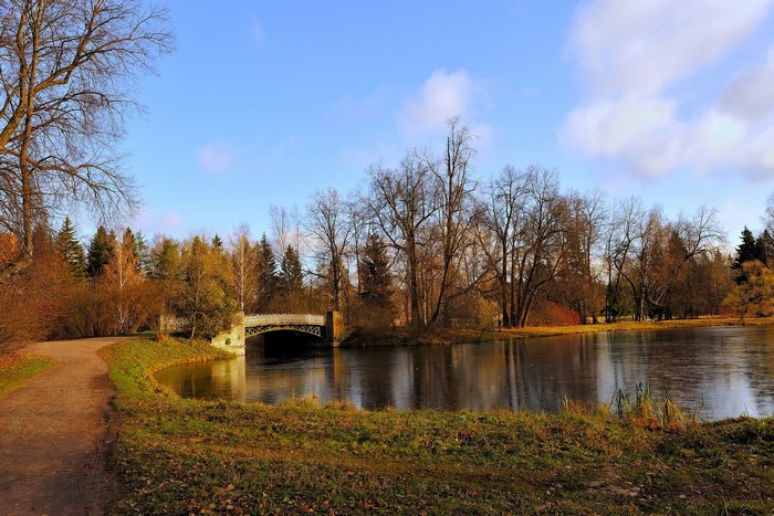 Park with a bridge over a pond in autumn