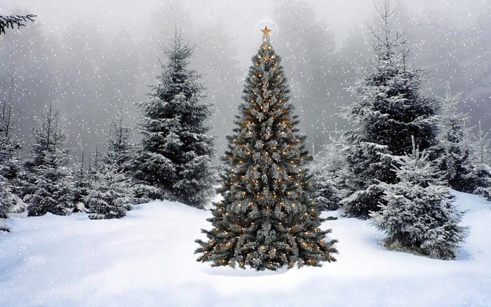 Decorated Christmas tree in a snowy forest