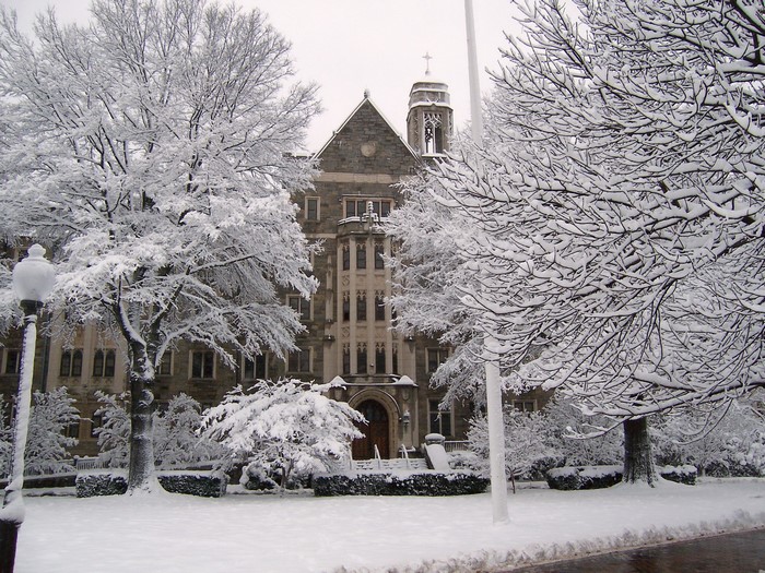 Snow covered building and trees in winter