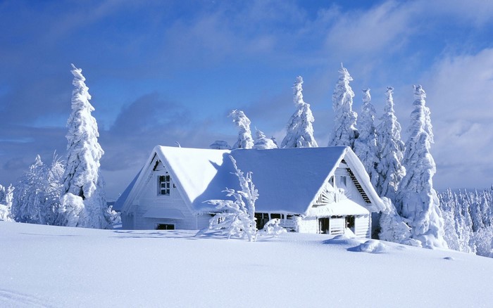 Snow-covered cabin and trees in winter