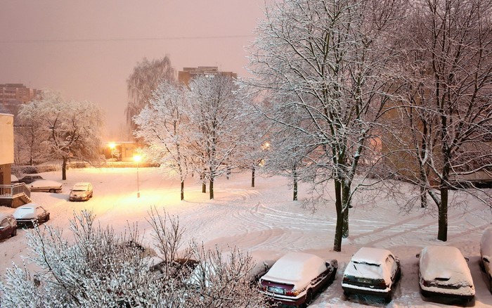 Snowy winter scene with parked cars and trees