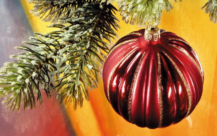 Christmas ornament on a frosted pine branch