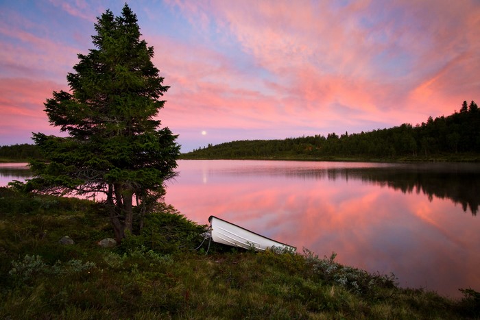 Boat on a lake during sunset with pink sky