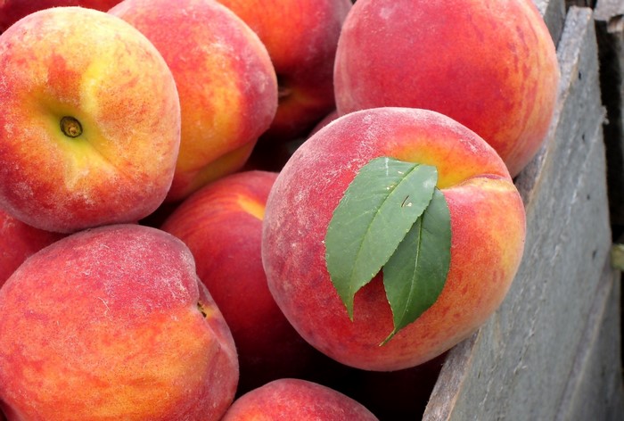 A close-up view of ripe peaches in a wooden crate