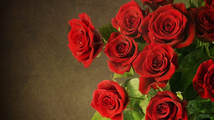 Red Roses on a Textured Background