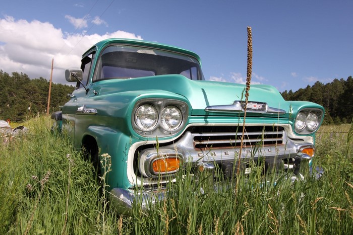 Teal Chevrolet Truck in Tall Grass