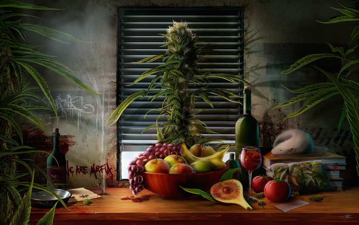 Still life with cannabis plant and fruit