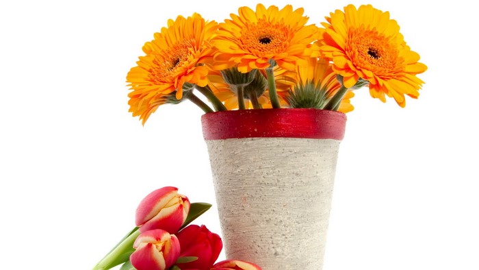 Orange Gerberas and Red Tulips in a Vase