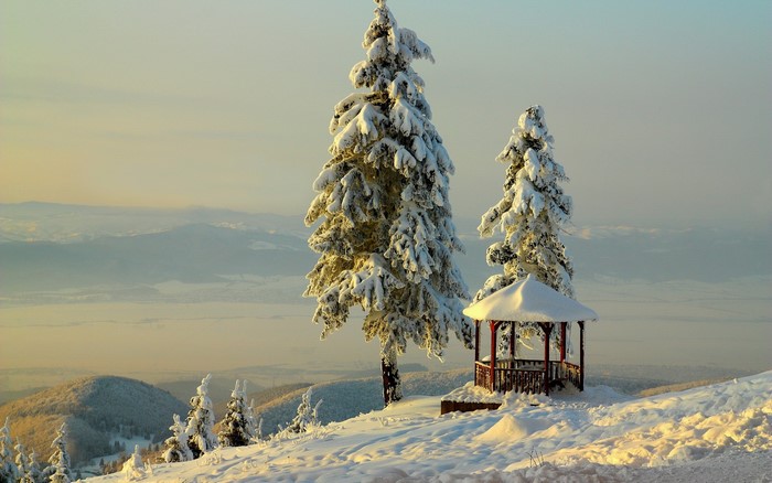 Snow-covered trees and gazebo on a mountain