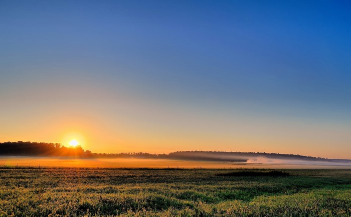 Sunrise over a misty field with trees