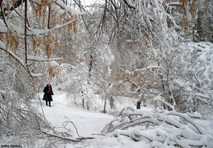 Person walking in a snowy park