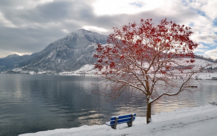 Winter scene with snow-covered mountains, lake, and a bench
