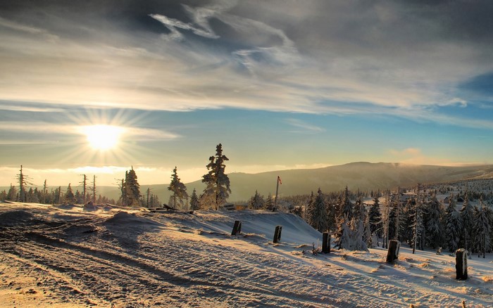 Winter landscape with sun rays and snow-covered trees