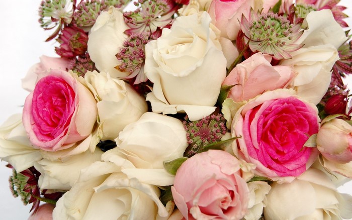 Bouquet of Roses and Astrantia Flowers