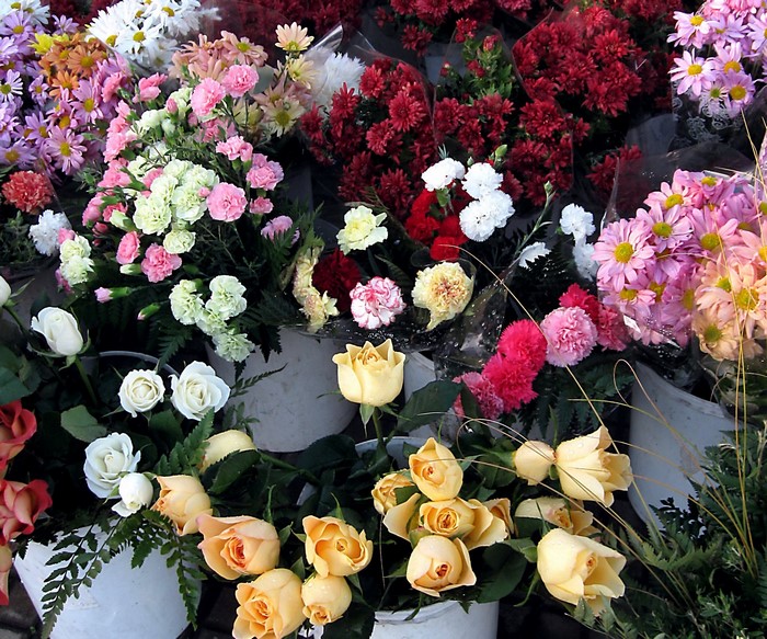Assortment of colorful flowers in buckets
