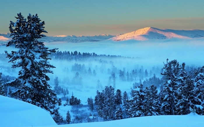 Snowy mountains and forest with fog at sunrise