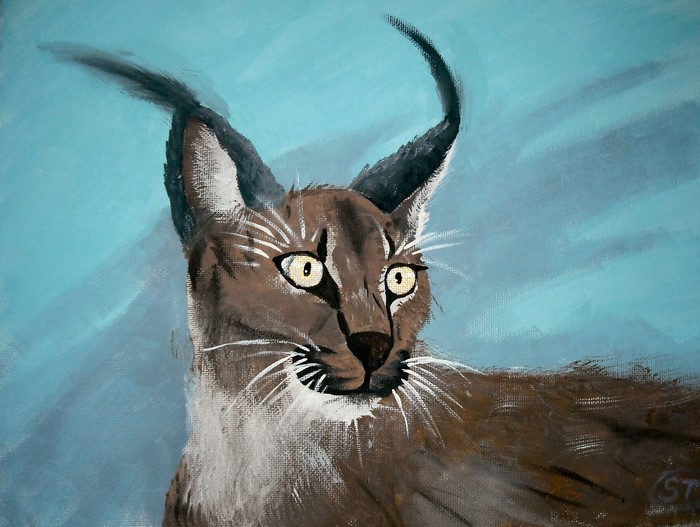 Painting of a Caracal with tufted ears