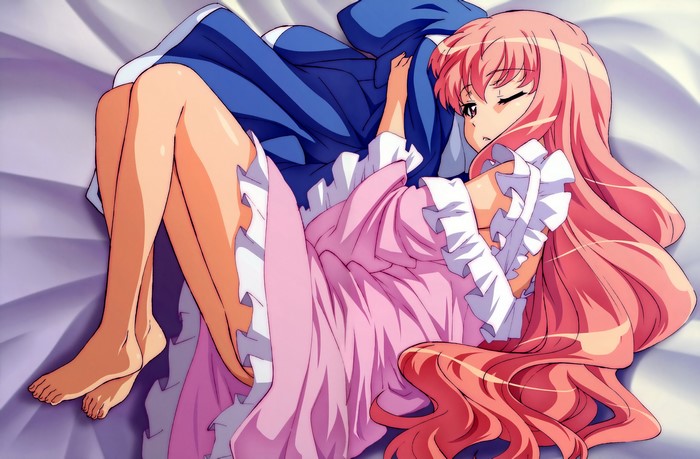 Louise Françoise Le Blanc de La Vallière from The Familiar of Zero
