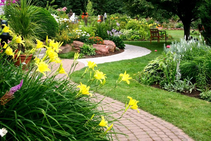 Beautiful garden with winding path and yellow flowers