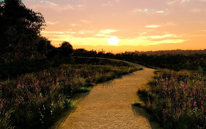 Path through a field at sunset