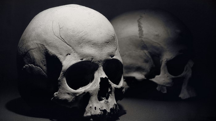 Two skulls in dramatic lighting