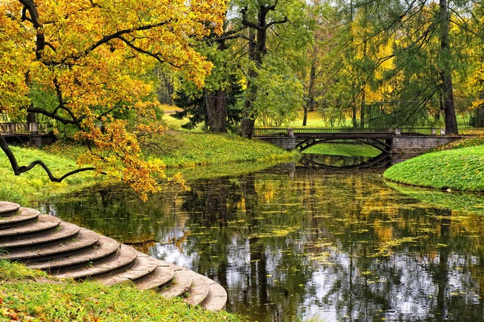 Autumn park with a pond and a bridge
