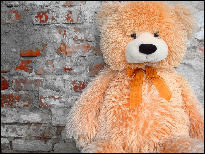 Orange teddy bear with ribbon against brick wall