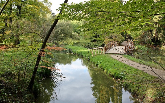 Wooden bridge over a stream in a park