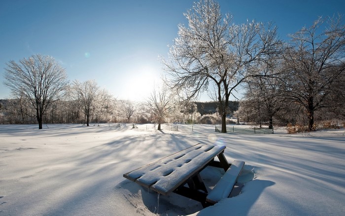 Winter scene with snow-covered picnic table and trees