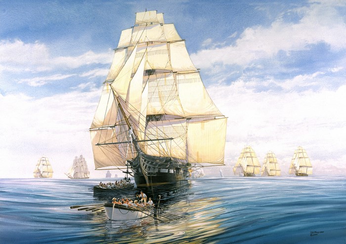 Sailing Ships in the Ocean