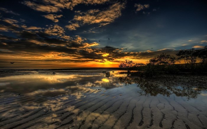 Sunset over a reflective beach with birds flying